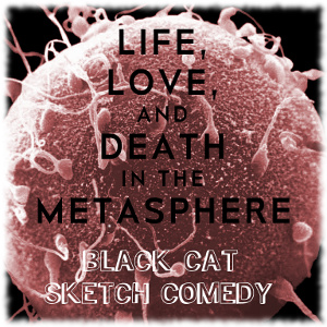Life, Love, and Death in the Metasphere